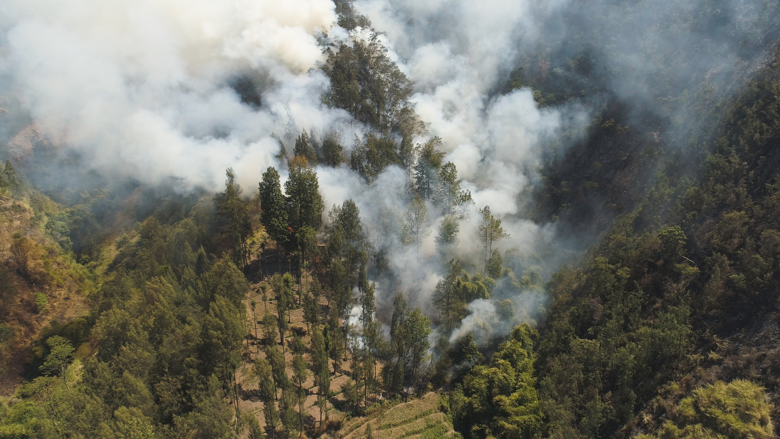 Aerial view of wildfire