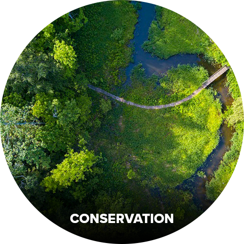 drones for conservation